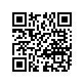 09160-13002 PINIONTHRUSTW