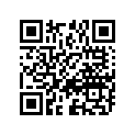 09160-17028 WASHER