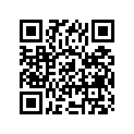 09160-17032 ワツシヤ(17X45X2)