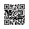 09160-25033 THRUSTWASHERT