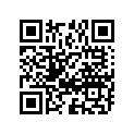 09160-25070-A05 09160-25070-WASHER,25.2X42X