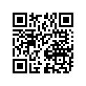 09167-30001 Washer