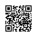 09181-08009 Shim (t:0.5)