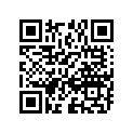 09181-12139 SHIM,12X18X1.0