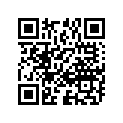 09181-14111 WASHERTHRUST1