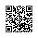 09181-15181 SHIM,15X24X1.3