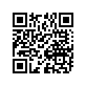 09181-20209 Shim, 20x30x1.3