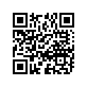 09181-25065-000 Shim (t:1.30)