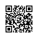 09181-30028 