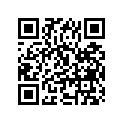 09263-21009 RN21X28X17BRG