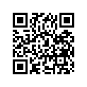 09300-17009 