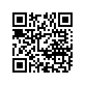 09300-28003-0A0 09300-28003-BUSH,28X32X9.5