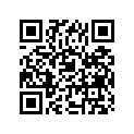 09491-33009 JET,MAIN,165
