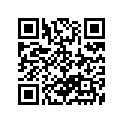 09491-70008 09491-70011-MAINJET