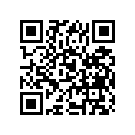 09493-80011 