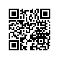 09494-00110-000 Жиклер игольчатый