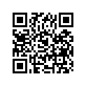 09494-00220-000 Jet, needle (0-8)