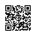 09494-00241-000 Жиклер игольчатый