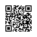 09494-00258-000 Жиклер игольчатый