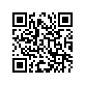 09494-00271-000 Жиклер игольчатый