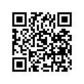 09494-00272-000 Жиклер игольчатый