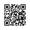 09494-00274-000 Жиклер игольчатый