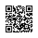 09494-00294-000 Жиклер игольчатый