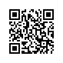 09494-00298-000 Жиклер игольчатый