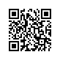 09494-00307-000 Жиклер игольчатый