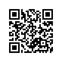 09494-00308-000 Жиклер игольчатый