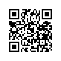 09494-00312-000 Жиклер игольчатый