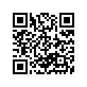 09494-00338-000 Жиклер игольчатый