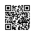 09494-00341-000 Жиклер игольчатый