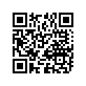 09494-00353-000 Жиклер игольчатый