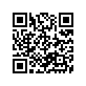 09494-00375-000 Жиклер игольчатый