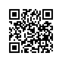 09494-00384-000 Jet, needle (0-4)