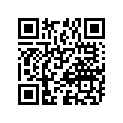 09494-00386-000 Жиклер игольчатый