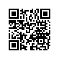 09494-00396-000 Жиклер игольчатый