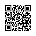 09494-00413-000 Жиклер игольчатый