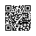 09494-00417-000 Жиклер игольчатый