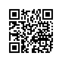 09494-00418-000 Жиклер игольчатый
