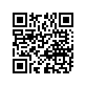 09494-00499-000 Жиклер игольчатый