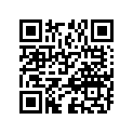 09494-00504-000 Жиклер игольчатый