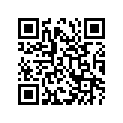09494-00510-000 Жиклер игольчатый