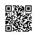 09494-00516-000 Жиклер игольчатый