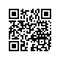 09494-00520-000 Жиклер игольчатый