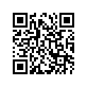 09494-00622-000 Жиклер игольчатый