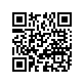 09494-00633-000 Жиклер игольчатый