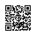 09494-00659-000 Жиклер игольчатый