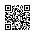 09494-00687-000 Жиклер игольчатый
